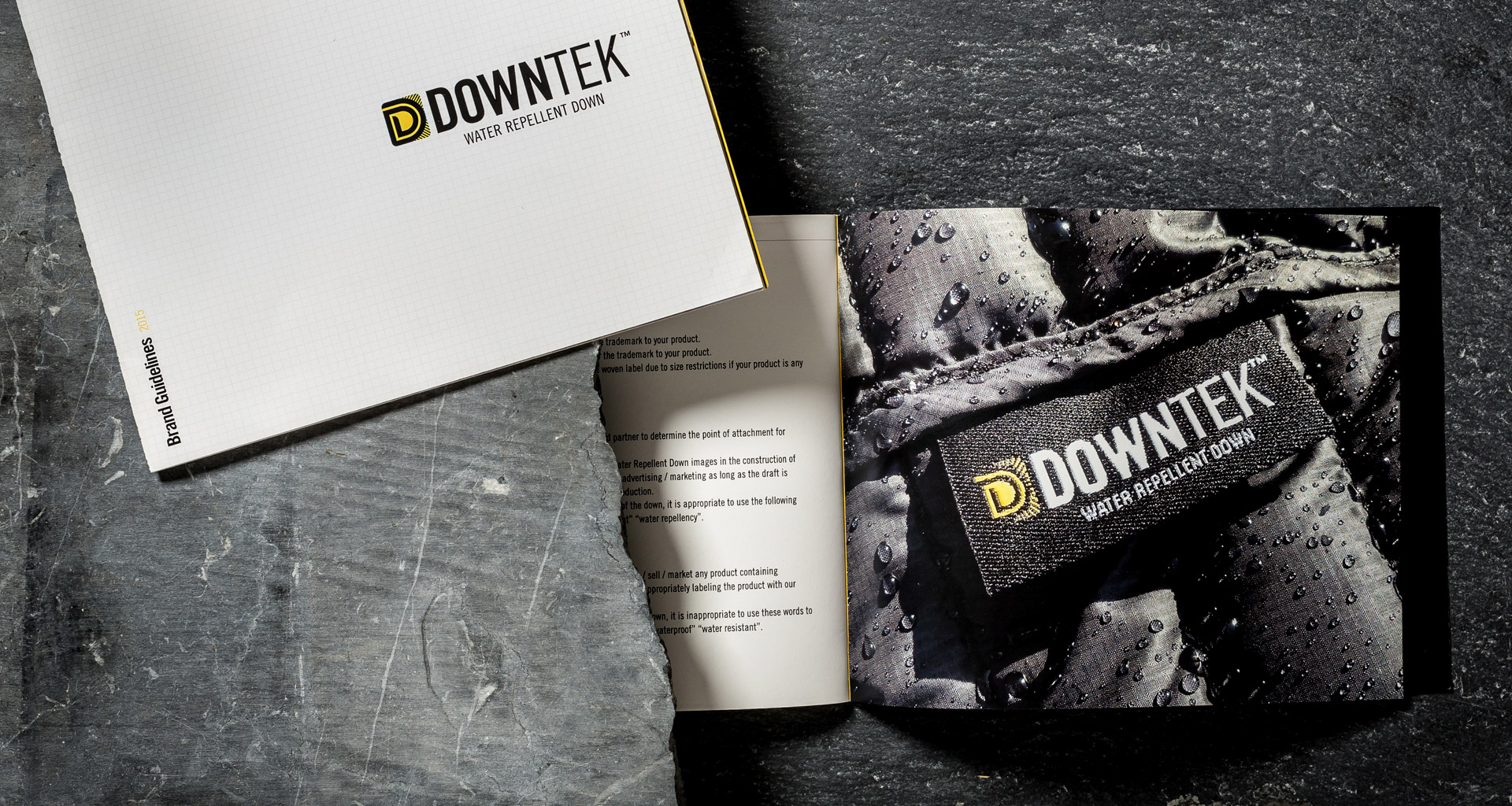 DownTek design mockups for branding guidelines