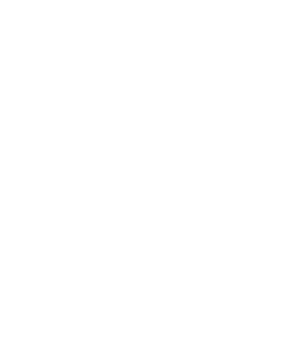 CoSign logo | Bluestone Creative