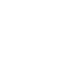 DownTek logo | Bluestone Creative